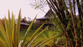 House from garden below     