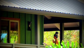 Through the jungle to the house...     