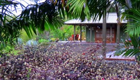 Master suite through the garden               